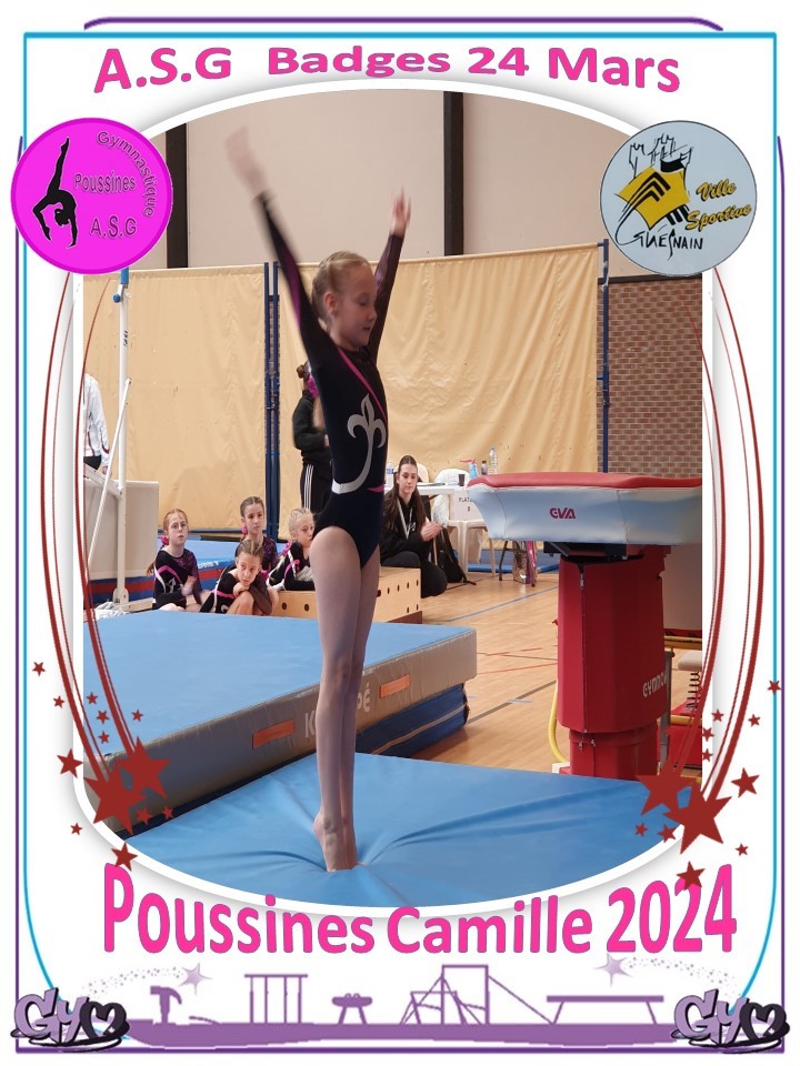 Asg badges 2024 17 