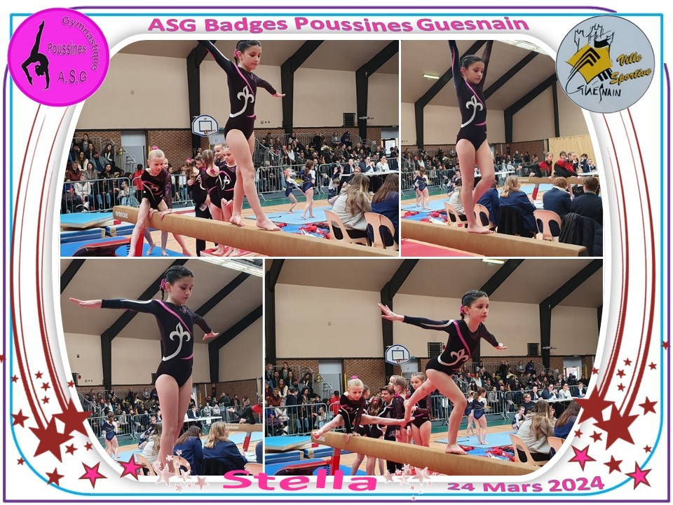 Asg guesnain badges 2024 43 