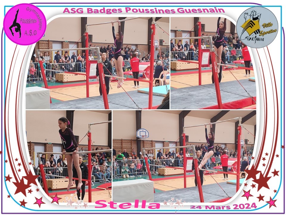 Asg guesnain badges 2024 44 