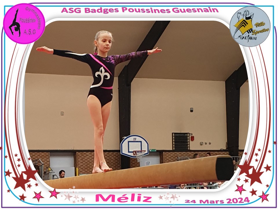Asg guesnain badges 2024 61 