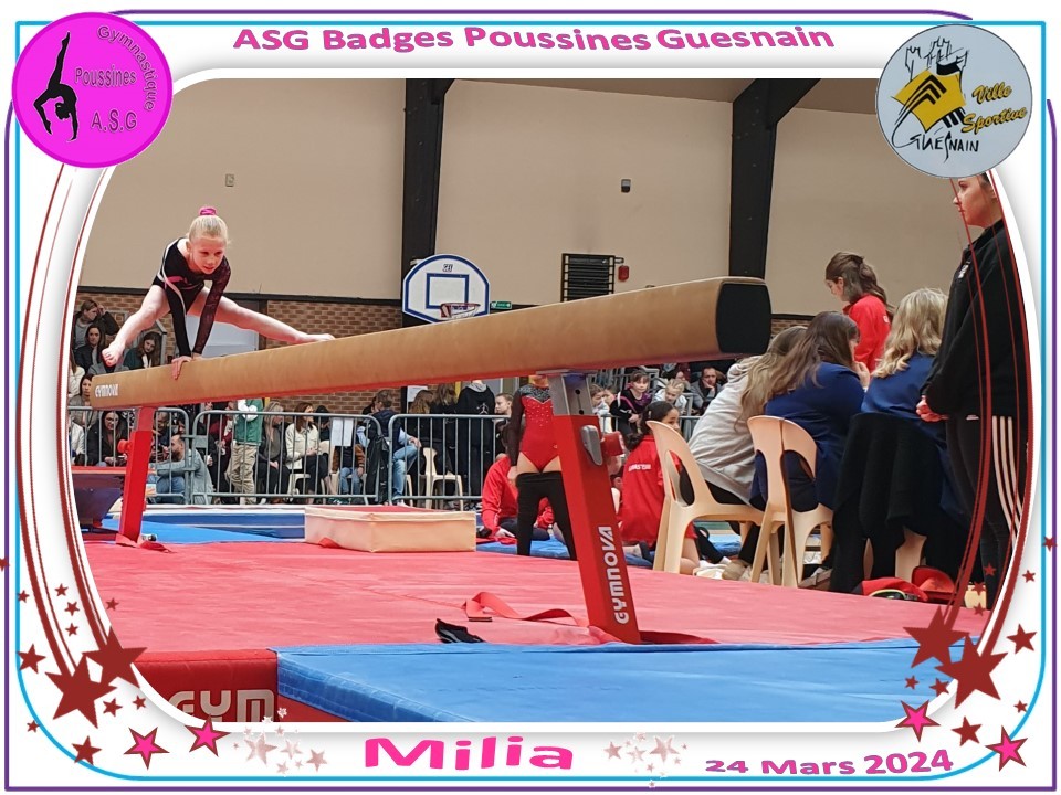 Asg guesnain badges 2024 63 